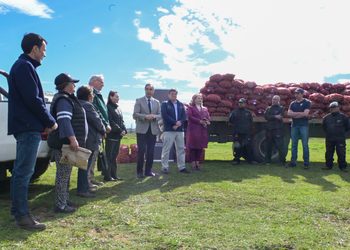 Entregan papa semilla certificada a más de 200 agricultores de Punta Arenas
