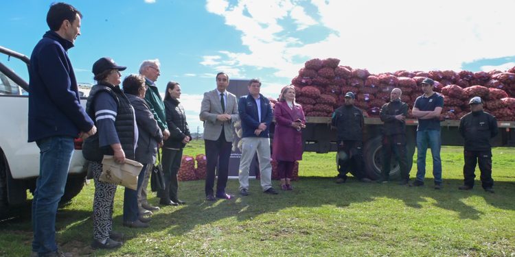 Entregan papa semilla certificada a más de 200 agricultores de Punta Arenas