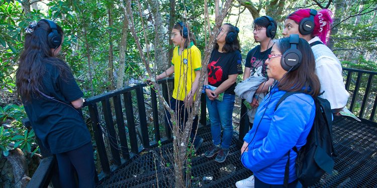 Parque Omora invita a descubrir los sonidos ocultos de la naturaleza en Puerto Williams
