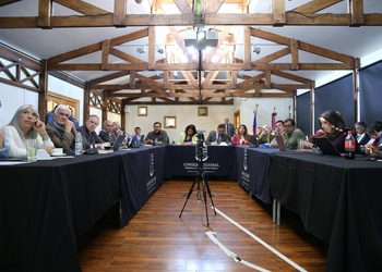 Consejo Regional aprueba cerca de $30 mil millones para proyectos sanitarios en San Gregorio y Tierra del Fuego
