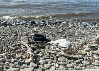 Concejala Stipicic llama a cuidar la costanera y advierte por acumulación de basura en el borde costero