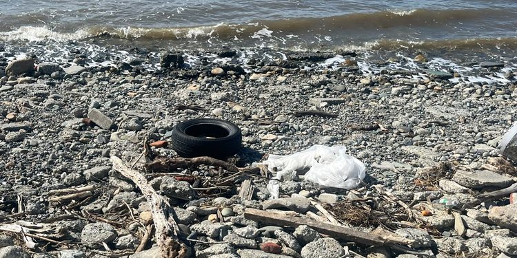 Concejala Stipicic llama a cuidar la costanera y advierte por acumulación de basura en el borde costero