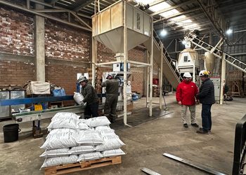 Producción regional de pellet de lenga busca fortalecer la seguridad energética de Magallanes