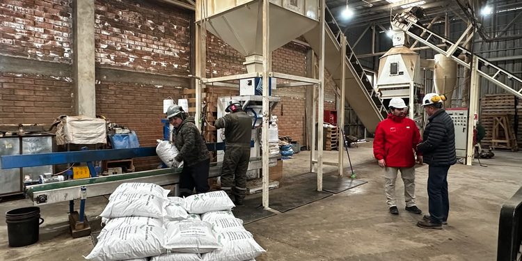 Producción regional de pellet de lenga busca fortalecer la seguridad energética de Magallanes