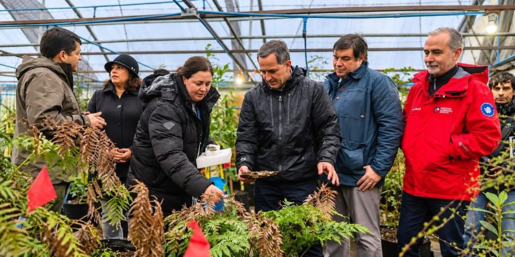 Magallanes en alerta preventiva: Subsecretario de Agricultura impulsa medidas clave contra incendios y refuerza al sector productivo