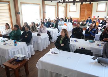 Equipos de salud rural de Magallanes se reúnen en jornada de actualización y capacitación