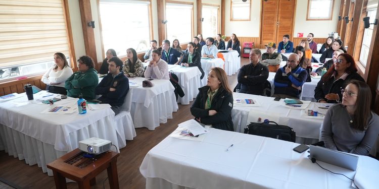Equipos de salud rural de Magallanes se reúnen en jornada de actualización y capacitación