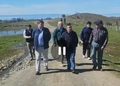 Ataques de perros provocan millonarias pérdidas a familias ganaderas en sectores periurbanos de Punta Arenas