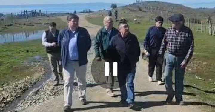Ataques de perros provocan millonarias pérdidas a familias ganaderas en sectores periurbanos de Punta Arenas