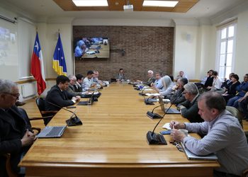 Consejo Regional aprueba bases de fondos para cultura y seguridad destinados a municipios de Magallanes
