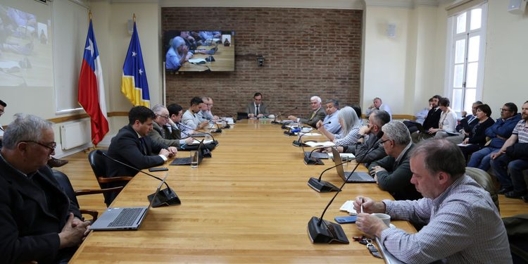 Consejo Regional aprueba bases de fondos para cultura y seguridad destinados a municipios de Magallanes