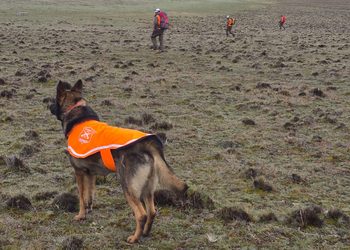 Continúa búsqueda de persona desaparecida en la frontera con Argentina