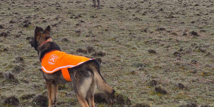 Continúa búsqueda de persona desaparecida en la frontera con Argentina