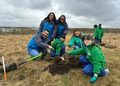 Plantan 40 lengas en sector de avenida Frei para conmemorar el Día Nacional del Medio Ambiente